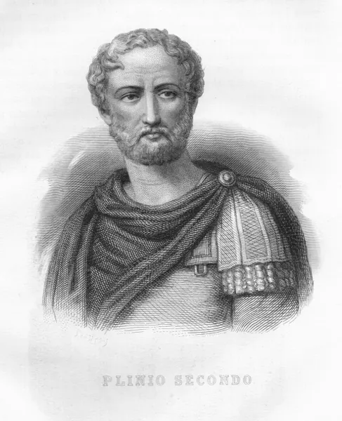 Ilustración o busto de Plinio el Viejo